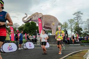 BIB: 
                            <button type="button" onclick="openModal(26528351)" class="btn btn-primary btn-sm float-right btn-popup" data-toggle="modal" data-target=".modal-high-quality">
                        <i class="fas fa-shopping-cart"></i> Add to Cart
                    </button>
                                            <button type="button" onclick="isThisMe(26528351, true)" class="btn btn-success btn-sm float-right btn-popup btn-isme hidden" data-toggle="tooltip" data-placement="bottom" title="นี่คือรูปของคุณใช่ไหม คลิกที่นี่เพื่อเอาเข้าอัลบั้ม">
                        <i class="fas fa-plus"></i> Add to album
                    </button>
                    <button type="button" onclick="isThisMe(26528351, false)" class="btn btn-warning btn-sm float-right btn-popup btn-isnotme hidden">
                        <i class="fas fa-ban"></i> Remove from album
                    </button>